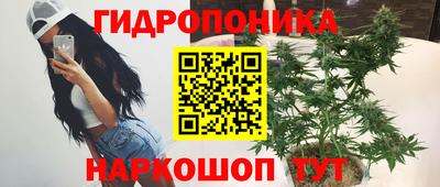 шишки Рязань