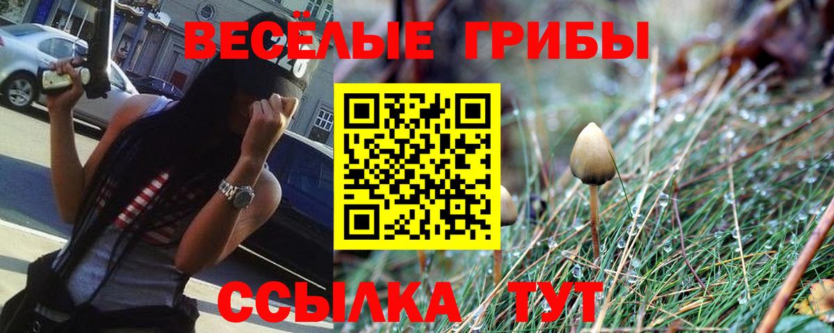 Сибай  как найти закладки  Псилоцибиновые грибы Magic Shrooms  Вход с VPN  Псилоцибиновые грибы мухоморы 